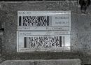 Двигатель 290107407R Renault Zoe/ FL 
