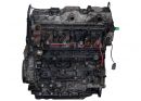 Двигун F9DA Ford Focus II 1.8 tdci