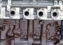 Двигун K9K 806 Renault Kangoo 1.5 dci