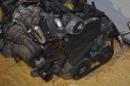 Двигун K9K Renault Kangoo 1.5 dci